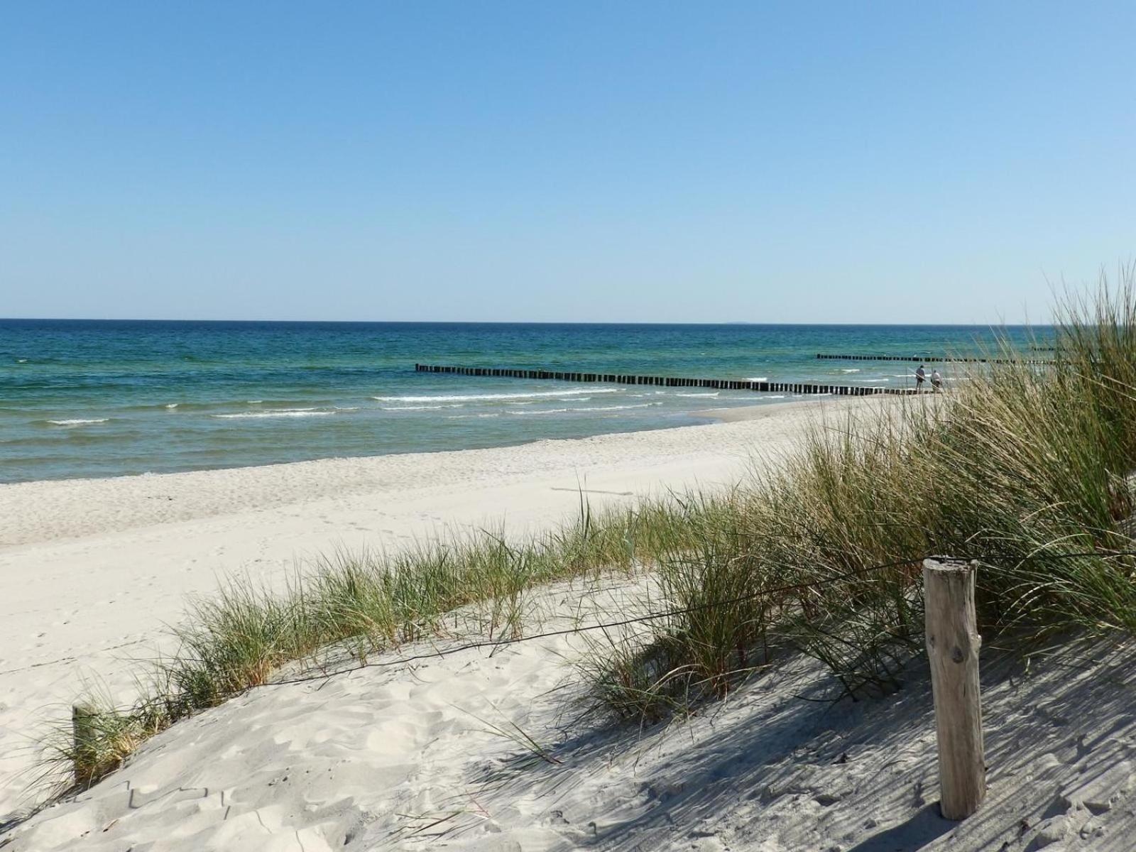 Moewennest 02 Leilighet Zingst Eksteriør bilde